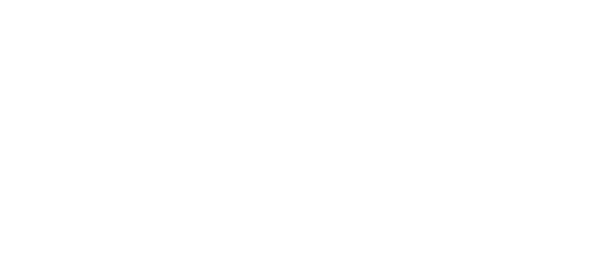 Grelis Shoes